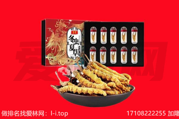 乌兰察布市四子王旗回收虫草.jpg